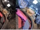 സ്കൂ​ട്ട​റി​ന്‍റെ സീ​റ്റി​ന​ടി​യി​ൽ അ​ണ​ലി; അധ്യാ​പ​ക​ൻ അ​ദ്ഭു​ത​ക​ര​മാ​യി രക്ഷപെട്ടു