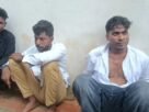 പാ​ലാ​യി​ല്‍ ക​ഞ്ചാ​വു​വേ​ട്ട; മൂ​ന്നു പേ​ര്‍ പി​ടി​യി​ല്‍