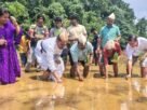 തുടർച്ചയായി മൂന്നാം വർഷവും നെൽ കൃഷിയുമായി രാമപുരം കോളേജ് വിദ്യാർഥികൾ